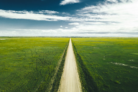 Aerial view of a dirt road through a green meadow.の写真素材