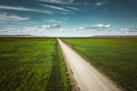 Dirt road in green field under blue sky with white clouds.の写真素材