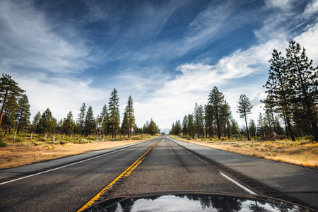 Highway in Yosemite National Park, California, United States of Americaの写真素材