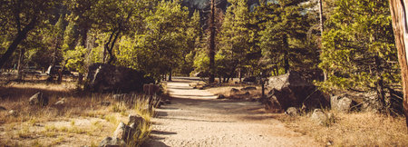 Panoramic view of a trail in Yosemite National Park, California, USAの写真素材