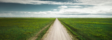 Panoramic view of a dirt road through a green field.の写真素材