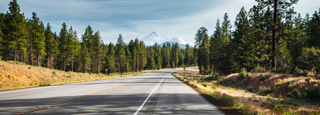 Panoramic view of the highway through the pine forest in Californiaの写真素材