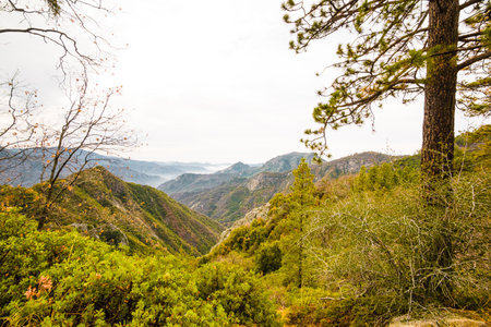 Landscape of the Caldera de Taburiente, La Palma, Canary Islands, Spainの写真素材