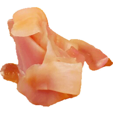 Rose petals isolated on white background. Watercolor hand drawn illustration.の写真素材