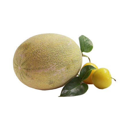 Melon and yellow fruits isolated on white background with clipping pathの写真素材