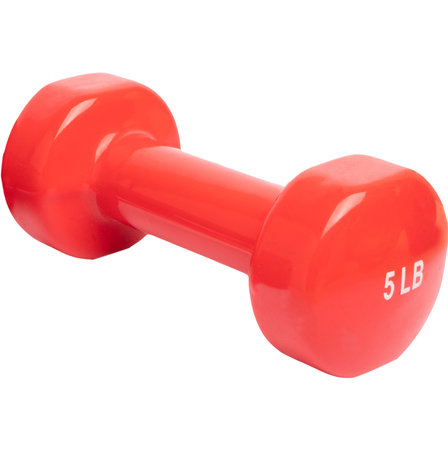 Red dumbbell isolated on a white background. 3d render.の写真素材