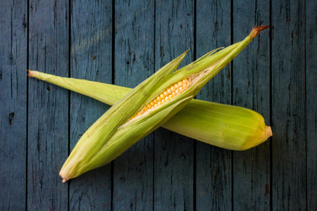 Fresh corn on the cob on a blue wooden background, top view
