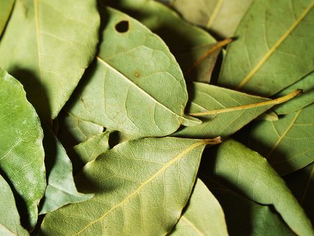 macro bay leaves for kitchen