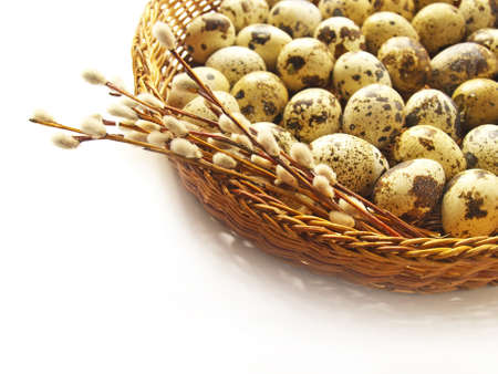 easter eggs in the basket with willow