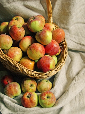 red ripe apples in a basket on flaxの写真素材