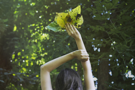 Girl holding autumn leaves in his handsの写真素材