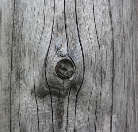 The texture of the wood. Wooden mote. Closeup.の写真素材