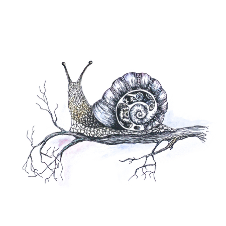 Bright colorful snail on a tree branch. Hand-drawn. A watercolor drawing. Close up. Isolated on white background.の写真素材