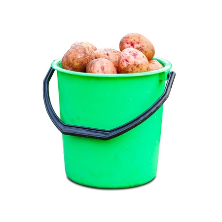 Green plastic bucket with fresh potato crop. Close up. Isolated on white backgroundの写真素材