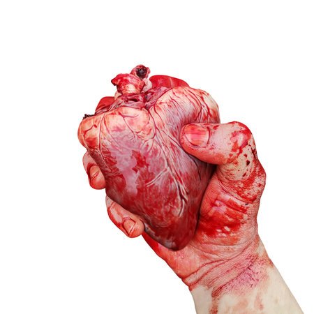 A hand in blood holds a heart. On a white background.の写真素材