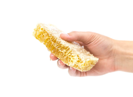 The hand holds a piece of honey in a honeycomb. closeup.の写真素材