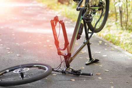 A broken bicycle in the park. close up.