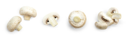 Set of fresh whole and sliced white champignon mushrooms isolated on white background. top view.の写真素材