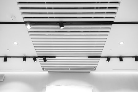 Interesting white lath ceiling with modular light fixtures.の写真素材