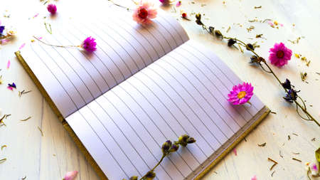 Dried flowers on white background with space to write text. Boho style. Beginning of spring or summer.の写真素材