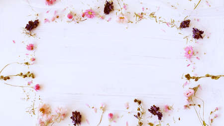Dried flowers on white background with space to write text. Boho style. Beginning of spring or summer.の写真素材