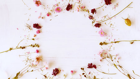 Dried flowers on white background with space to write text. Boho style. Beginning of spring or summer.の写真素材