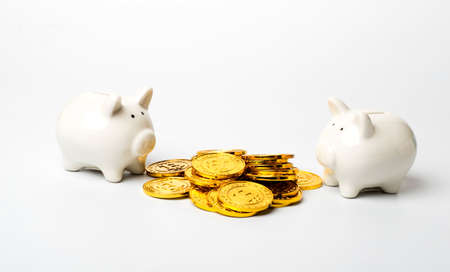 Piggy bankの写真素材