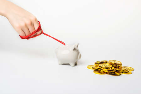 Piggy bankの写真素材