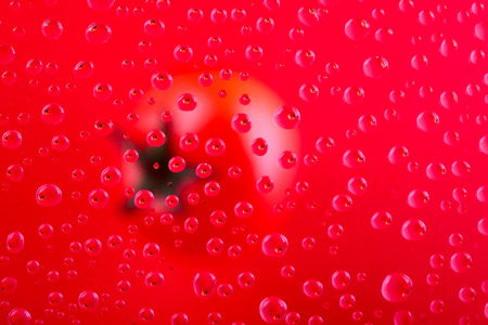 Fruit bubbles backgroundの写真素材