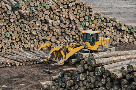 Wood processing factory