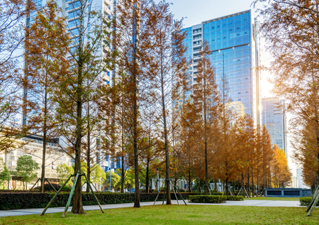A forest city park in Chongqing, Chinaのeditorial素材