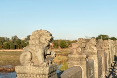 Lions stone sculptureの写真素材