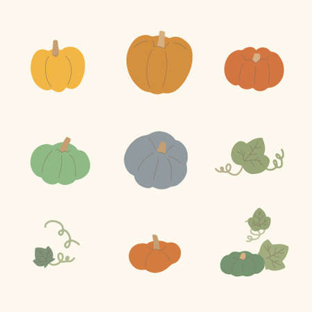 An image of several old pumpkins and vines. This is a flat image illustration great for use in autumn.のイラスト素材