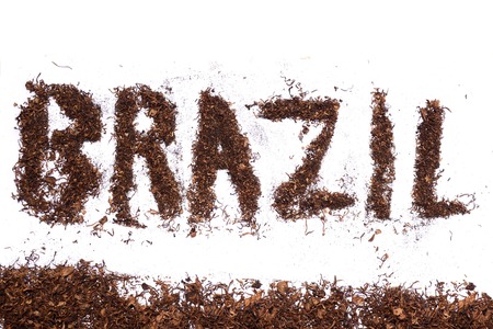 the ward of brazil  by tobaccoの写真素材