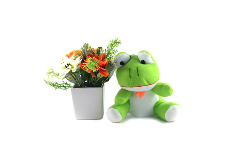 green frog  doll with white and orange flower in white potの写真素材