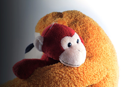 the small monkey  doll  in the  hold  facing  bright lightの写真素材