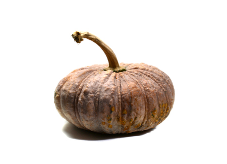 the old punpkin on white background isolatedの写真素材