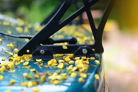 the body of car dirty from flowers and leaves