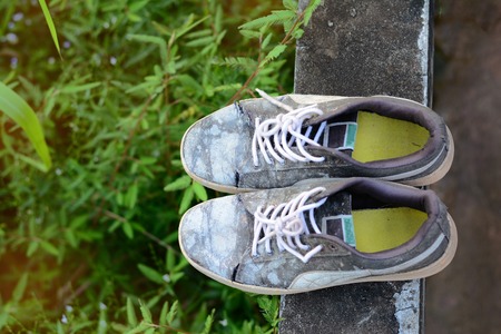 top view of dirty sport shoes on cement wall with light and some plantsの写真素材