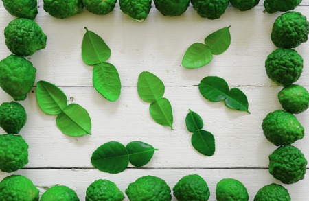 square frame from bergamot,stack of fresh green bergamot  with young leaves on  white tableの写真素材