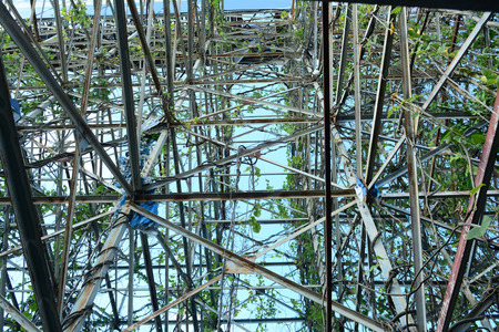 bottom view of old iron billboard structure surround with vines trees