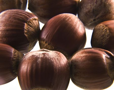 nuts on a white backgroundの写真素材