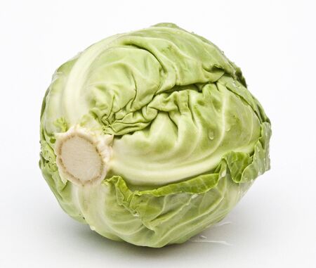 young cabbage on a white backgroundの写真素材
