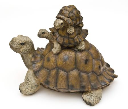 three tortoises on a white backgroundの写真素材