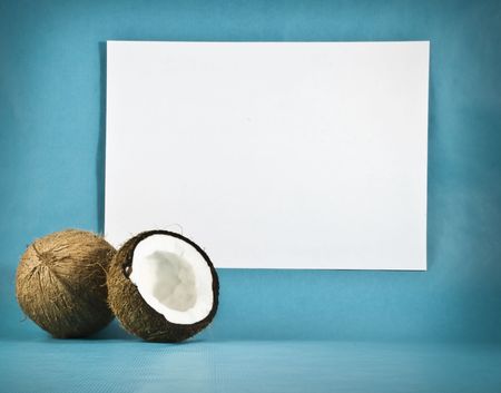 coconuts on a background of white paperの写真素材