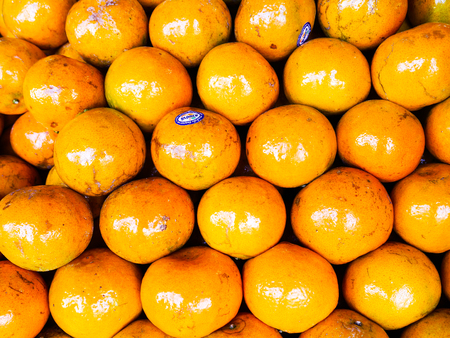 orangesの写真素材