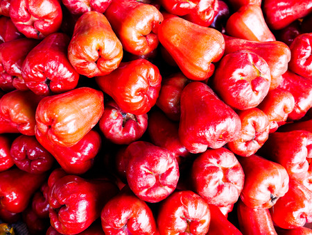 rose appleの写真素材