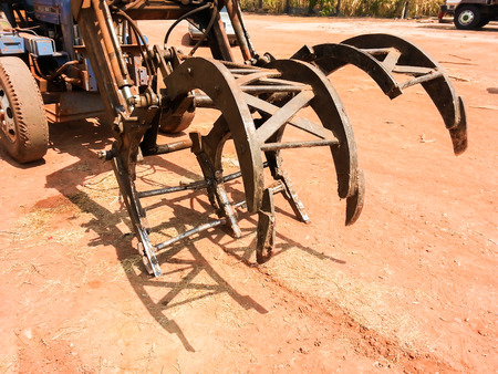 timber Stackersの写真素材