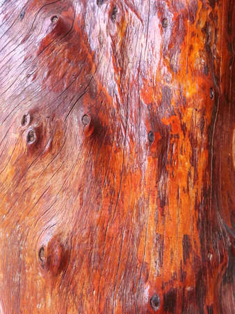 wood textureの写真素材
