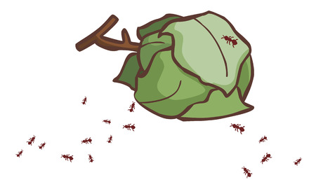 leaves ant nests on the ground vector illustrationのイラスト素材